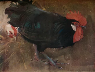 Le Coq noir, vers 1894
