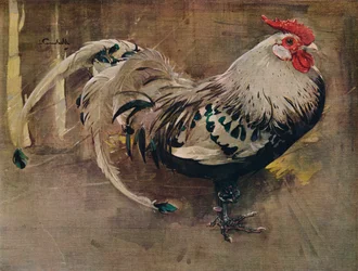 Le coq tacheté, 1903, 1935
