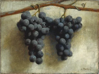Raisins
