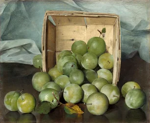 Prunes vertes