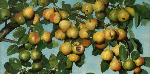 Poires mûrissantes, vers 1884-1885 (huile sur toile)