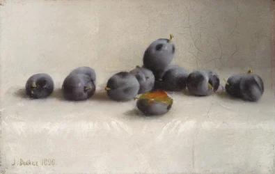 Douze prunes