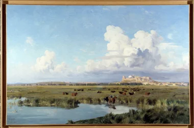 Paysage de Camargue