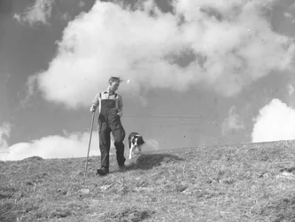 Un berger et son chien de berger en promenade à Martindale