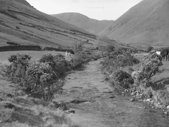 Un ruisseau traversant le paysage de Wastwater