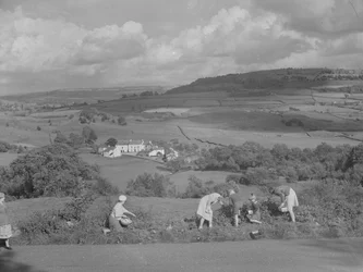 Enfants et adultes cueillant des mûres avec vue sur la vallée de Winster.