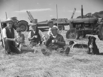 Travailleurs agricoles se relaxant dans un champ de foin avec des chiens et des tracteurs en arrière-plan