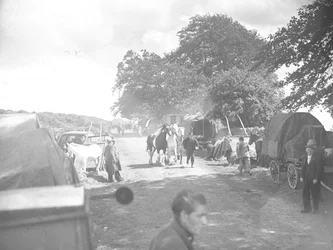 Chevaux menés sur la route à Appleby avec des caravanes et des voitures sur les bas-côtés.