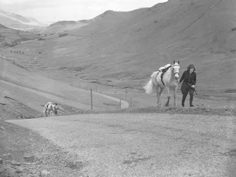 Chevaux menés au col par des cavaliers qui ont mis pied à terre