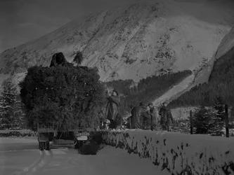 Un camion rempli d