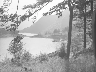 Thirlmere à travers les branches d