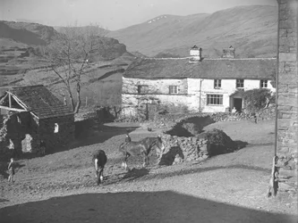 Trois jeunes garçons surveillant des chevaux dans la cour de ferme de Kentmere, avec la ferme et les montagnes derrière.