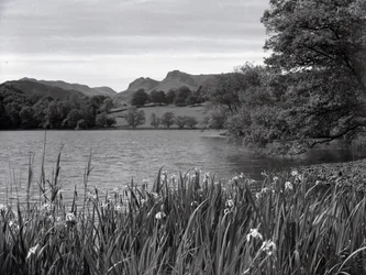 Vue sur le Tarn de Loughrigg