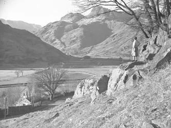 Femme debout sur des rochers sous un arbre, regardant la vue sur les Langdale Fells