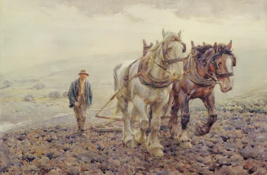 Labour sur les South Downs près de Willmington, Sussex