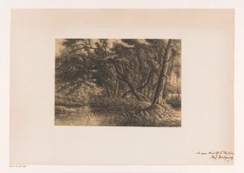 Paysage forestier avec étang