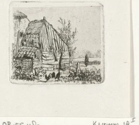 Poules près d