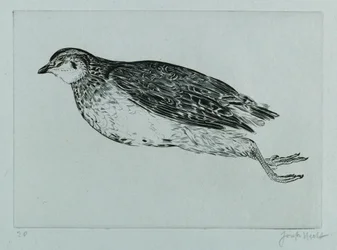 Perdrix morte (La Perdrix)