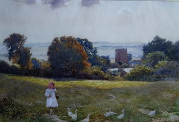 Petite fille avec des canards dans un pré