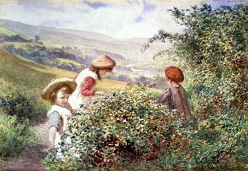 Les cueilleurs de mûres