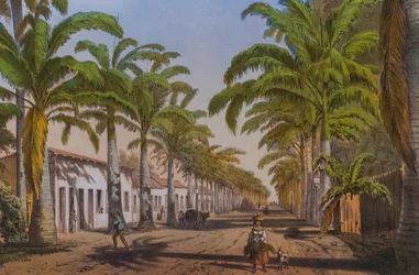 La périphérie de la ville