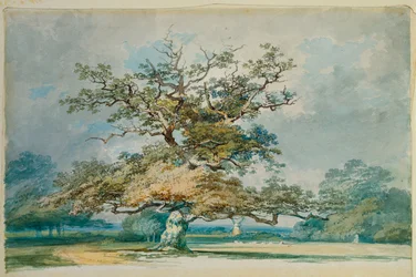 Un paysage avec un vieux chêne