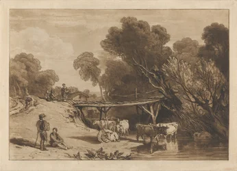 Pont et vaches