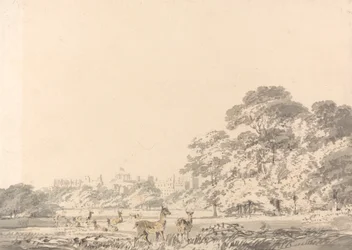 Château et parc de Windsor avec des cerfs