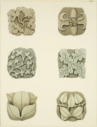 Pierres de voûte (bosses) au plafond de St Mary Redcliffe