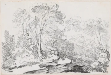 Arbres