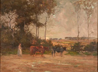 Troupeau de bétail au coucher du soleil
