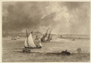 Navires au large