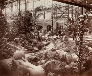 Le Crystal Palace à Londres : la section tropicale, vers 1870