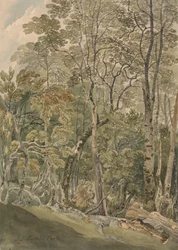 Dans le parc de Rydal