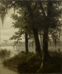 Scène de marais