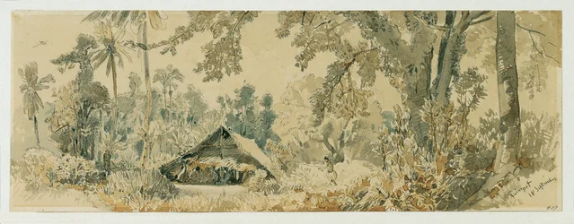 Hutte indigène sur l