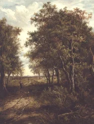 Une clairière dans les bois