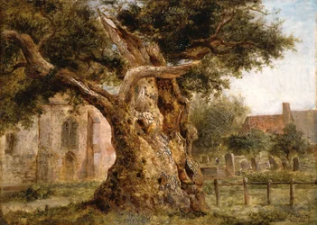 Le vieux chêne, 1870