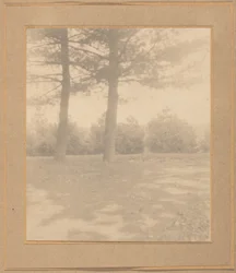 Paysage avec des arbres