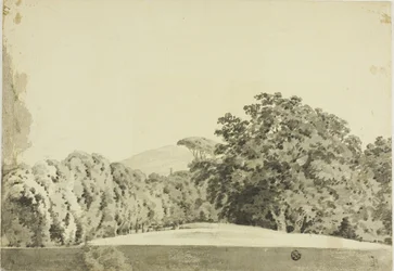 Paysage boisé