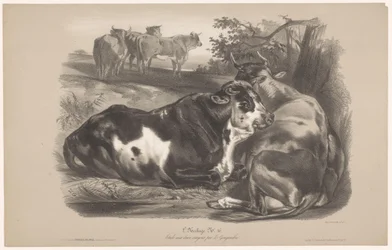 Cinq vaches dans un pré