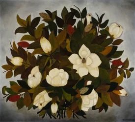 Fleurs de magnolia