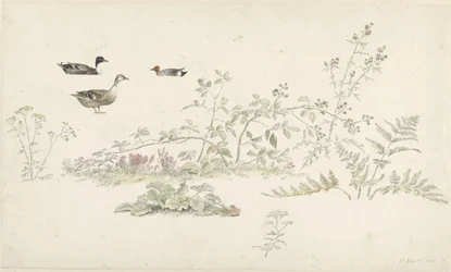 Feuille d
