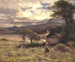 Champ de foin près de Llandudno