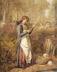 Écorçage de bois dans la forêt de Wychwood