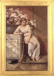 La plume de paon