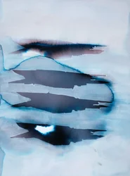 Les baleines bleues