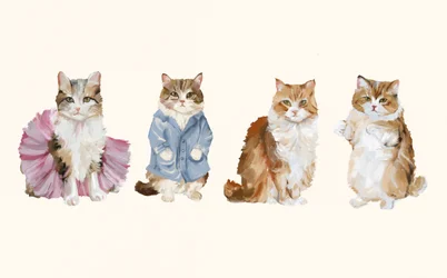 Des chats adorables en costume