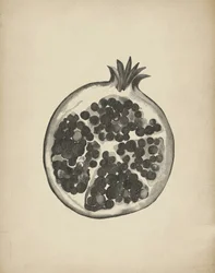Grenade coupée