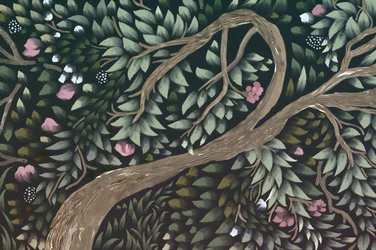 La canopée de la forêt enchantée